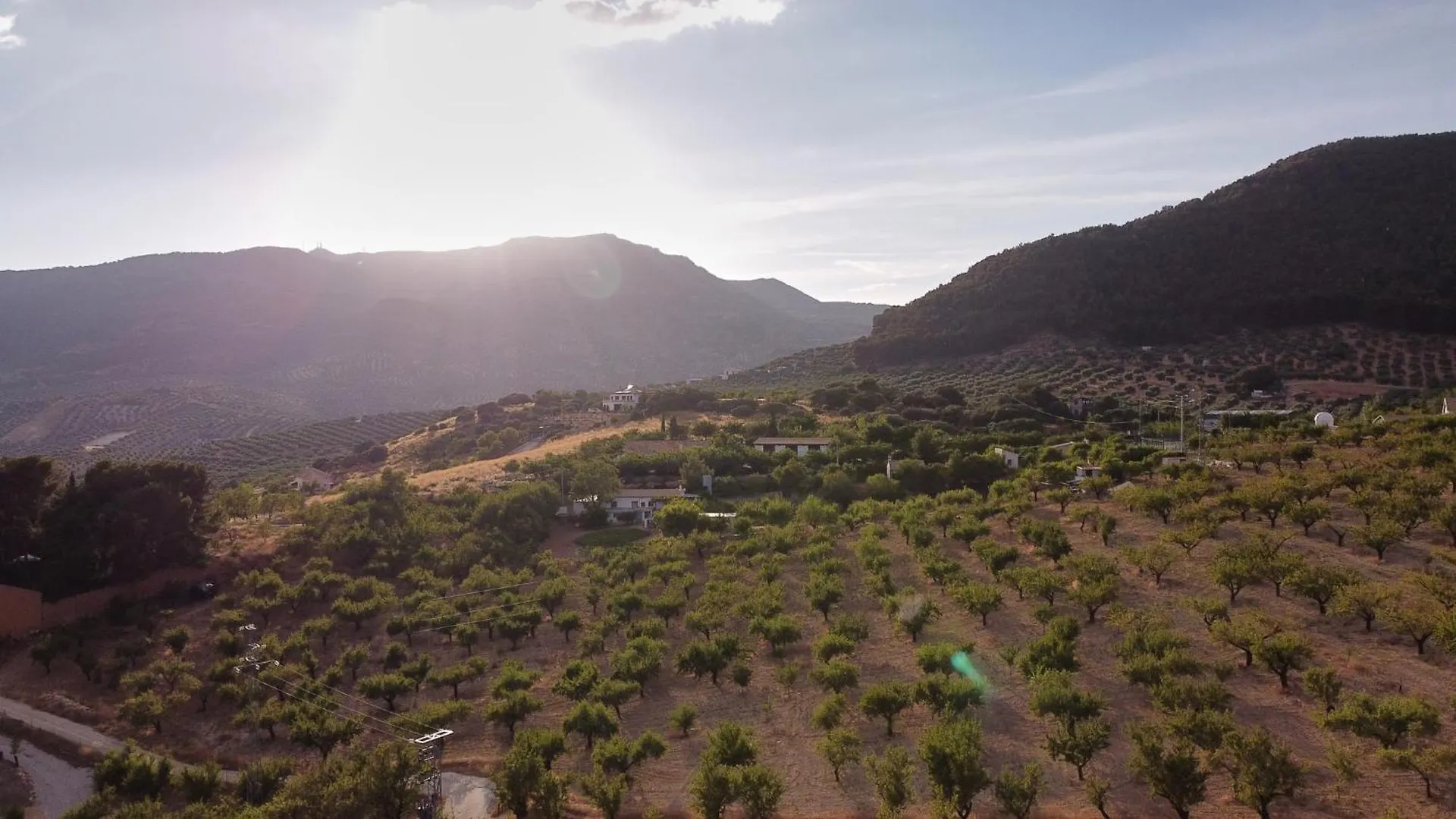 Villa Canela Illora